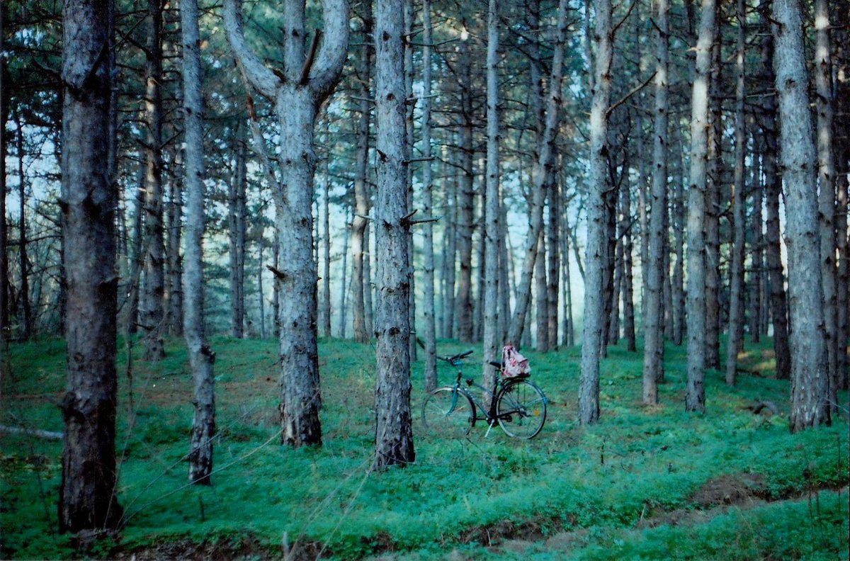 🇸🇪SS Dan Ericsson speaking at #UNFF19 on behalf of EU🇺🇳

Highlighting the importance of sustainable forest management in tackling the triple planetary crisis. Key points include the need for stronger governance, innovation, &amp; diverse financial solutions.
🔗swedenabroad.se/en/embassies/u…