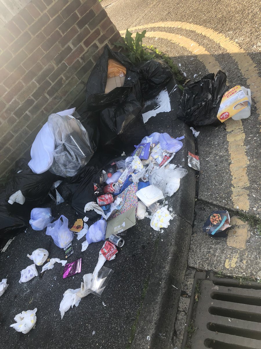 LittleMs_Whoops's tweet photo. #Hillingdon @Hillingdon 
@HillingdonTimes 

This has been the sight at the end of my front garden since last Friday afternoon. I’m fed up with old dirty nappies in my street. Please can something be done about this reoccurring issue. 🙏🏼 I’ve seen massive rats running around too https://t.co/W4eMxJwtRH