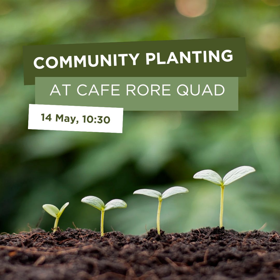 🌱 Calling all @uniofherts students and staff, get outside during your morning coffee break and join us in planting some lovely flowers in the Quad behind Café Rore. Help us improve biodiversity at Herts and spruce up our campus ready for the Festival of Ideas 🙌