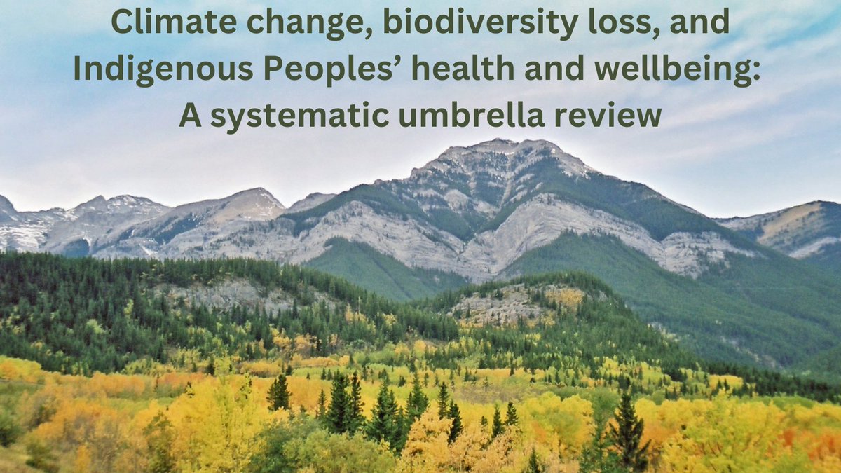 In this new @PLOSGPH (4(3)) review article, Brubacher et al. found one central theme: that the impacts of climate change and biodiversity loss on health and wellbeing are rooted in and inseparable from Indigenous Peoples’ connections to place. Read more: tinyurl.com/mta3m9aj