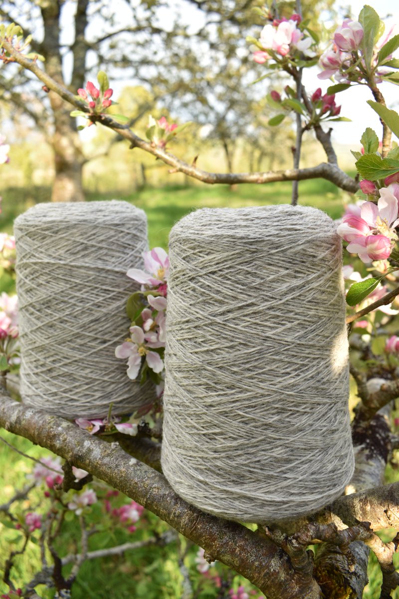 All this week we're focusing on our new wool on cone ranges and this is our gorgeous 70% Corriedale/30% Gotland woollen spun blend. It's deliciously soft and bouncy, yet strong and beautiful when wet blocked. It knits up beautifully, with a natural light grey base colour.
