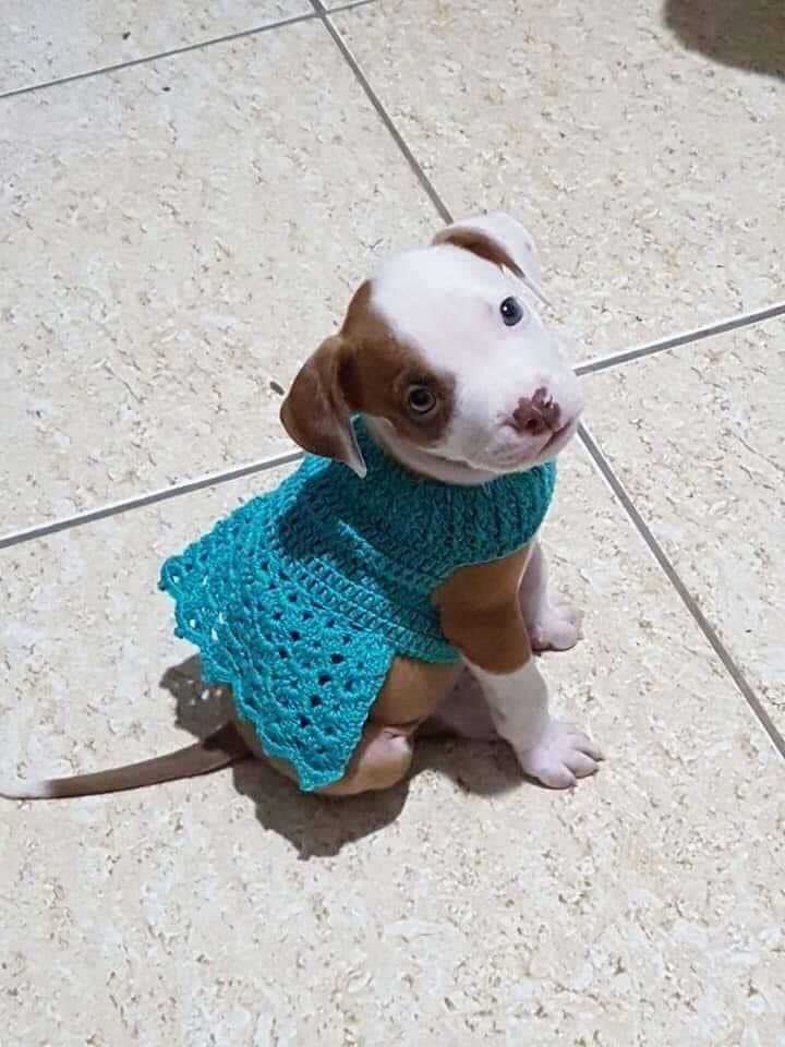 Milha filha passou um dia na casa da minha avó e voltou pra casa assim