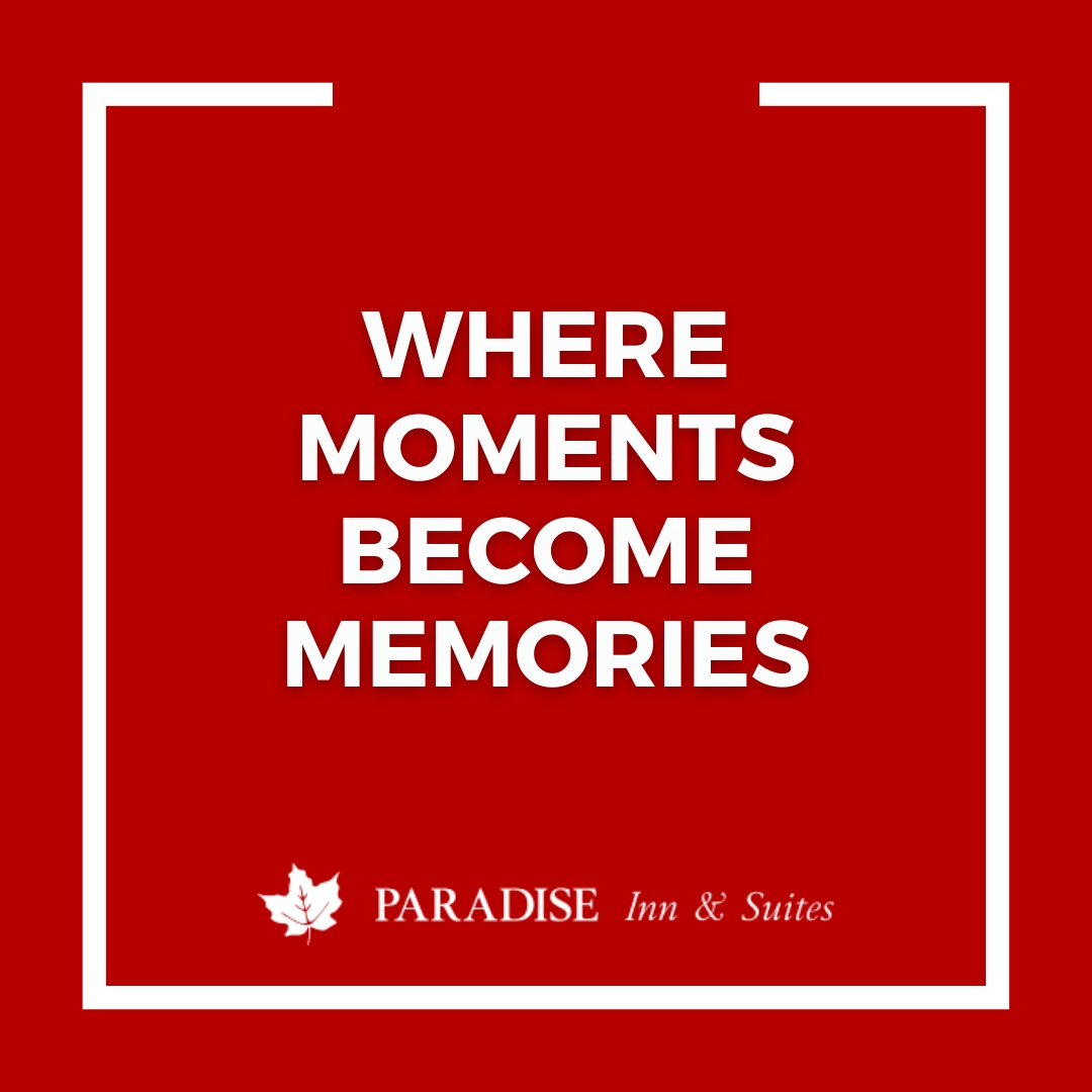 Experience the warmth of our hospitality from the moment you step through our doors. 

🌐 paradiseinnandsuites.ca
.
.
.
#ParadiseInnAndSuites #Alberta #Valleyview #ValleyviewAB #Hotels #PetFriendlyHotel #BookARoom #InnAndSuites #HotelRates #HotelPool #Travel