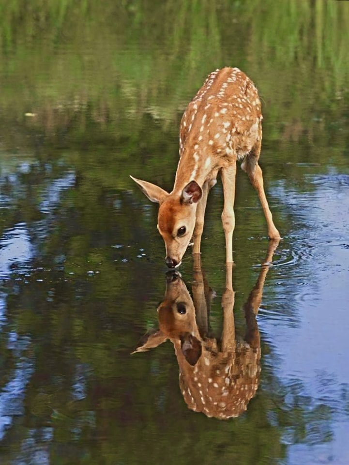 Beautiful reflection…….❣️