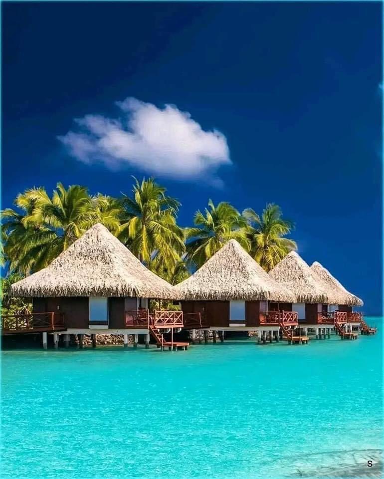 Maldives 🇲🇻