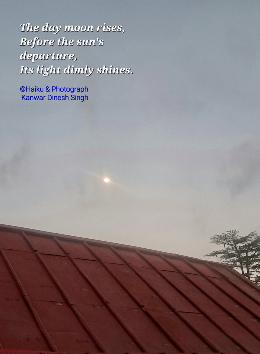 Kanwar Dinesh Singh (@k_dineshsingh) on Twitter photo HAIKU ☘️
The day moon rises,
Before the sun's departure,
Its light dimly shines.
©Haiku & Photograph
Kanwar Dinesh Singh
#haiku #jshaikucorner #formalhaiku <a href="/BashoSociety/">Basho Society</a> @haikufound <a href="/HaikuCrush/">Haiku Crush</a> <a href="/HaikuSeed_/">Haiku Seed Journal</a> <a href="/WalesHaiku/">Wales Haiku Journal - SUBS OPEN</a> HAIKU ☘️
The day moon rises,
Before the sun's departure,
Its light dimly shines.
©Haiku & Photograph
Kanwar Dinesh Singh
#haiku #jshaikucorner #formalhaiku <a href="/BashoSociety/">Basho Society</a> @haikufound <a href="/HaikuCrush/">Haiku Crush</a> <a href="/HaikuSeed_/">Haiku Seed Journal</a> <a href="/WalesHaiku/">Wales Haiku Journal - SUBS OPEN</a>