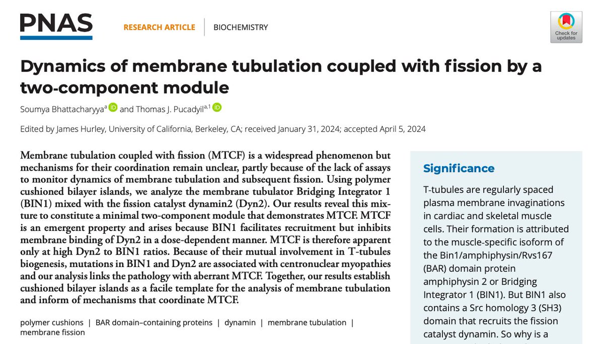 Online now @PNASNews! It was fantastic to work with @TPucadyil on this. I learnt so much from him in putting this together and had a fabulous time completing my PhD in his lab @IISERPune. pnas.org/doi/10.1073/pn…