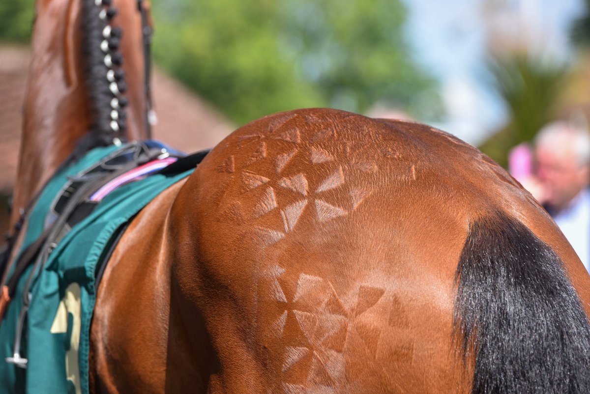 🚨Attention all stable staff! Are you ready for this year’s Summer Festival Best Turned Out competition? As well as individual prizes, the winning yard receives £1000 and a visit from the Knead N’ Feed pizza truck! ✨ @SkyBet