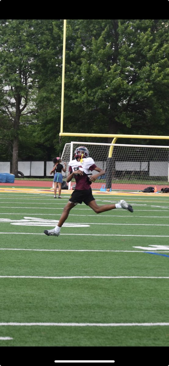 Scenes from the Wood! #WIT