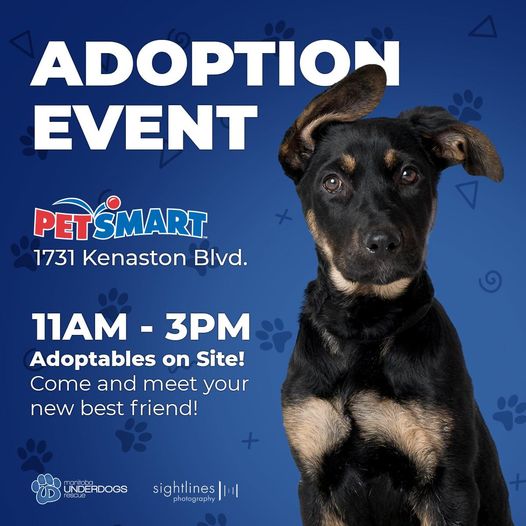 Hey #winnipeg! .@mbunderdogs #dogs #adoption #event 

$50 off fees

#host .@PetSmart #Kenaston

Saturday 5/11, 11 AM – 3 PM

#AdoptDontShop #AdoptDontBuy #AdoptAShelterPet #adoptaseniorpet #AdoptAShelterDog #pets 

facebook.com/ManitobaUnderd…