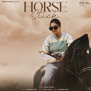Baani Sandhu - Horse Stick 

simplybhangra.com/latest-release…
