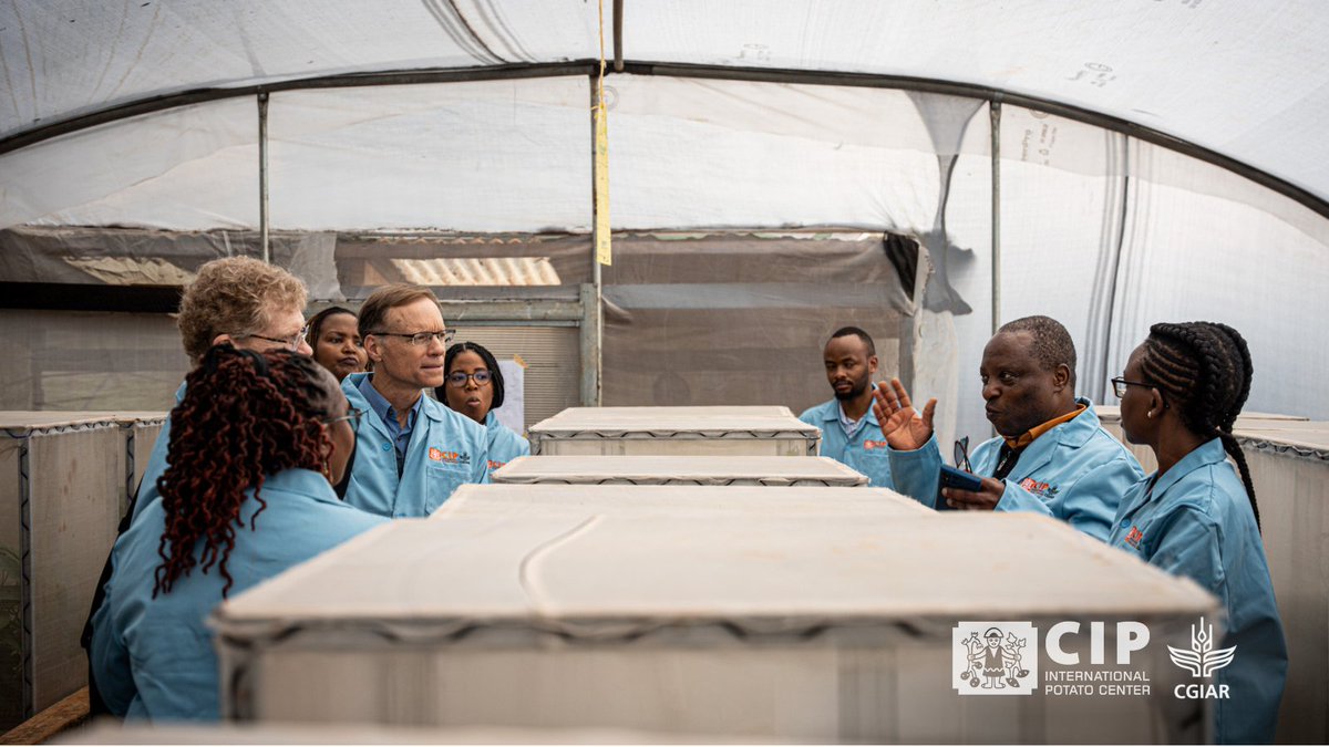 We had the pleasure of hosting the Vision for Adapted Crops & Soils (VACS) team at our CIP facilities in Nairobi!

We discussed the importance of cultivating resilient crops like sweetpotatoes that can thrive in challenging climates & support farmers.

🔸 @joyce_maru
🔸 @KephisKe