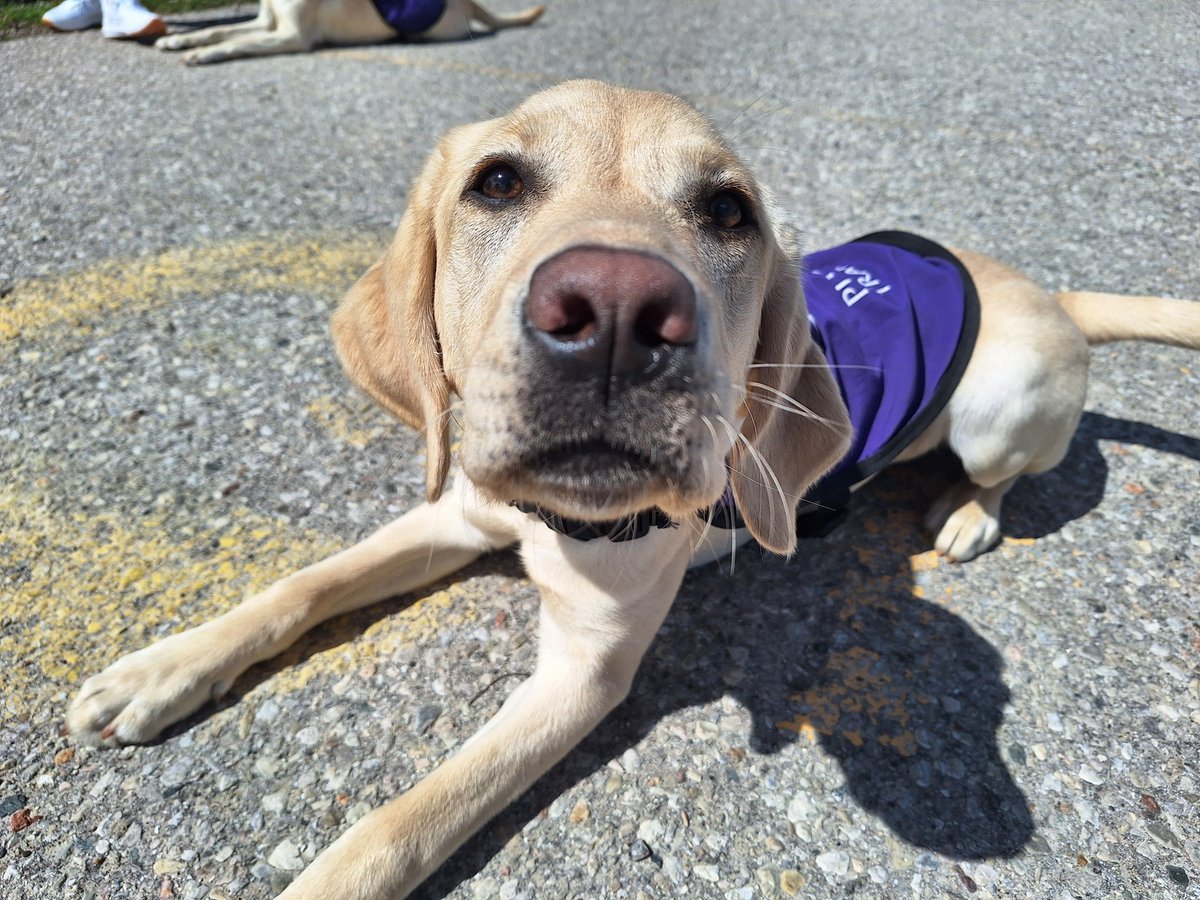My job is hard guys. Really, really hard. Look for Tilly and her friends tonight on <a href="/CTVKitchener/">CTV Kitchener</a>