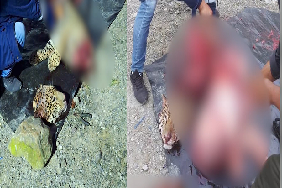 Encuentran jaguar desmembrado por trabajadores de la empresa China Sinohydro
Radio Fides - Seguridad 
is.gd/XtY0jN