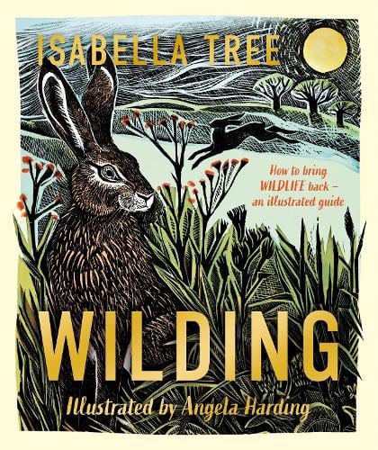 Wilding: How to Bring Wildlife Back - An Illustrated Guide by @isabella_tree & @ANGELACHARDING is one of the most inspiring and uplifting books I’ve read so far this year. Thank you @MacmillanKidsUK @loveswimming My review for @imaginecentre here: justimagine.co.uk/childrens-book…