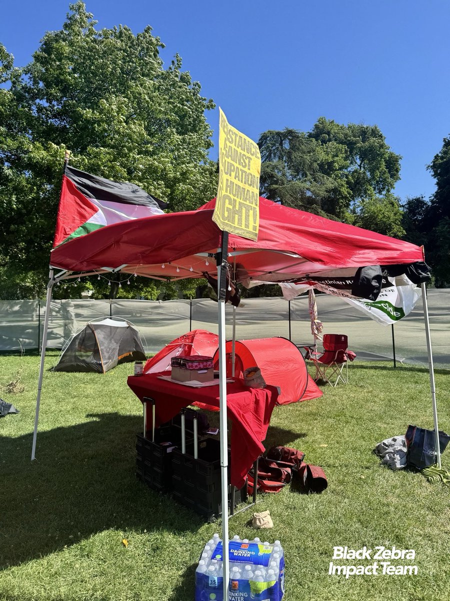 Black Zebra Productions tweet media