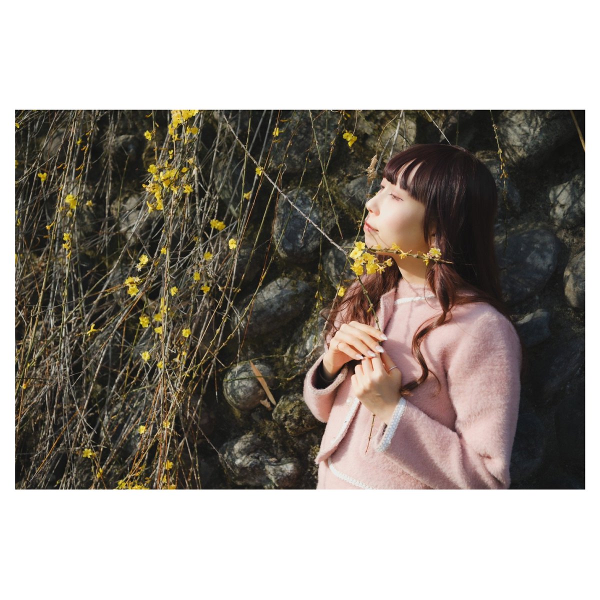 崖に咲く黄色い花〔みみ〕
@Mimi_usagiOoo 

#人にはそれぞれ魅力がある
#ポートレート 
#portrait 
#被写体募集中 
#fujifilm_xseries