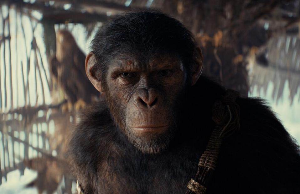 'Kingdom of The Planet of The Apes' is the fourth in a series of reboot movies. Does it have an end credits scene to indicate that there are more Apes adventures to come? go.forbes.com/c/v4iM