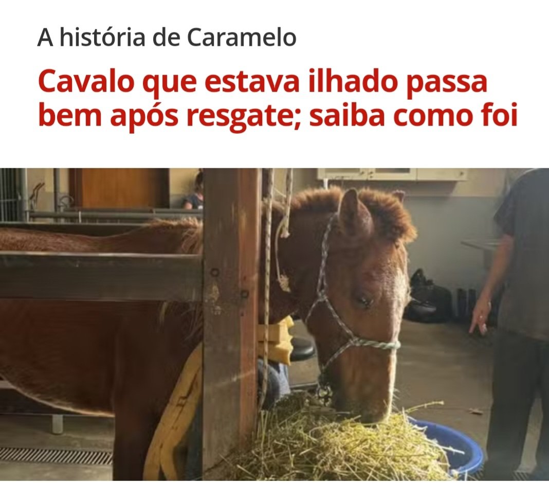 Companheiros, com vcs o Caramelo !!!! Assim como as pessoas, os animais Tb merecem os nossos cuidados e carinho.