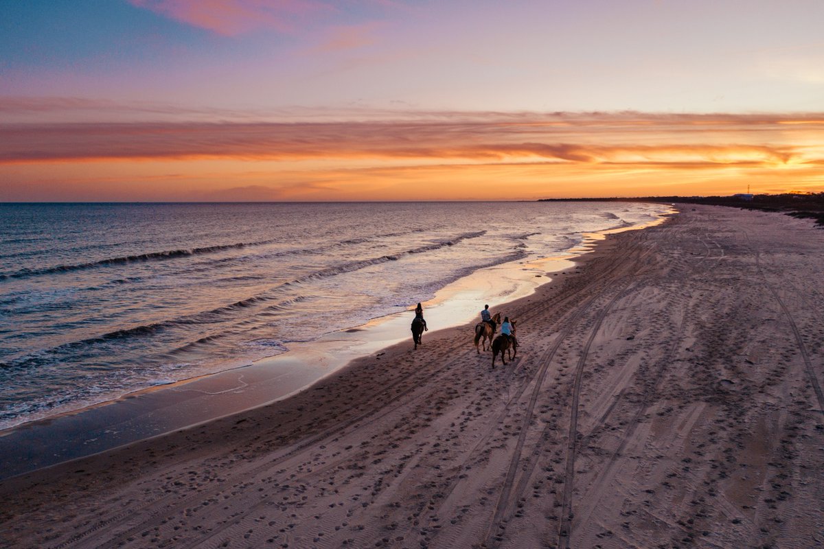 Discover the serenity of horseback riding along Florida's North West Coast. Just 20 minutes south of Port Saint Joe, Cape San Blas is that hidden gem you've been looking for 🌅 📍: Cape San Blas