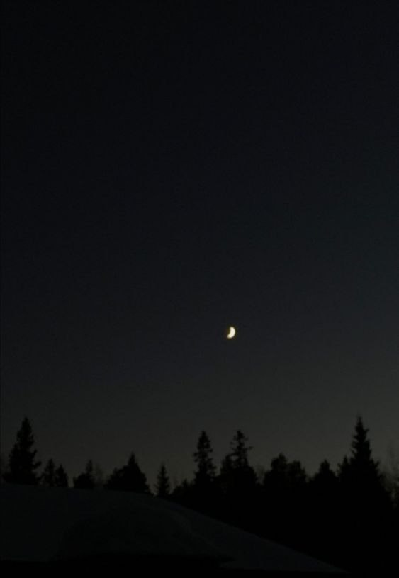 Спокойной ночи, воронята. Пусть сегодня вам приснюсь великолепный я.