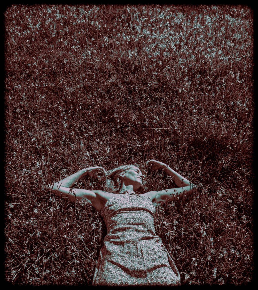 Sunshine - from todays location shoot #modellife #locationshoot #bluebells #summerdress