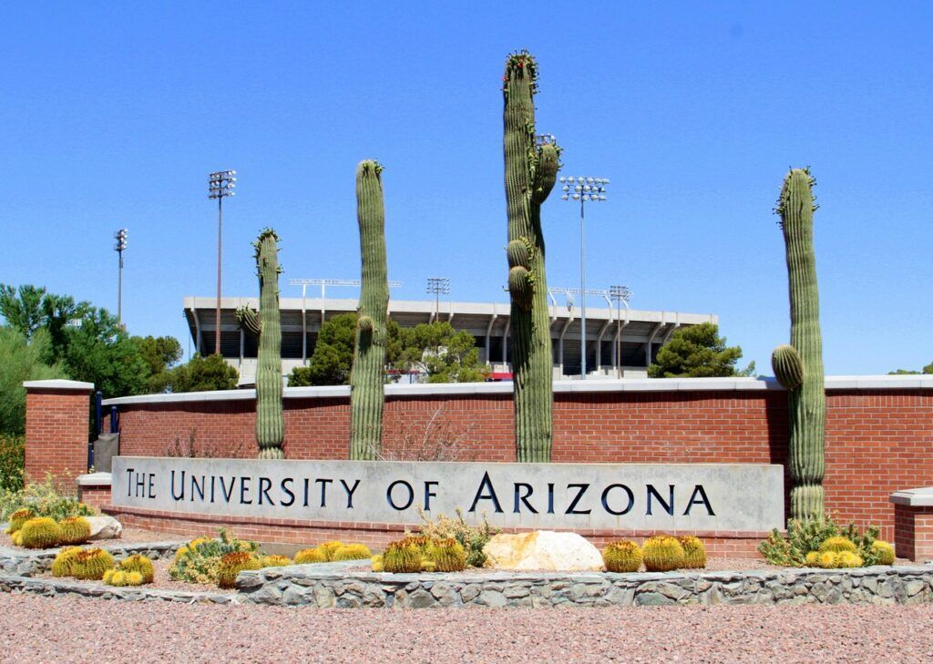 New Post: University of Arizona Philosophy Club buff.ly/3WDGMUP