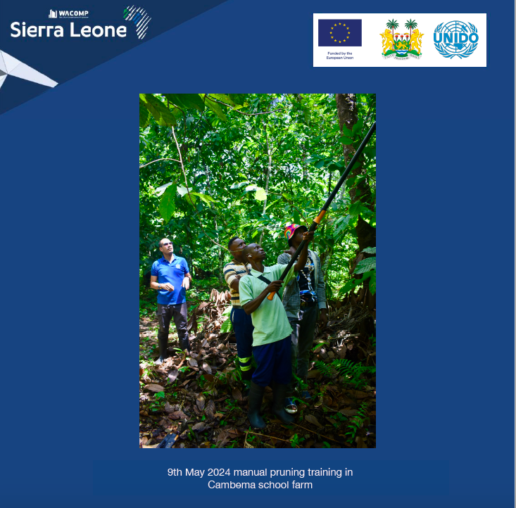 May 9th @EUinSierraLeone funded #WACOMP_SL🇸🇱 #cocoa #farmers and #farmer support officers receive #training on #cocoa #harvesting tools supplied by @UNIDO to support with improved #quality and #yield. 1,000 #cocoa farmers now have access to #tool #banks