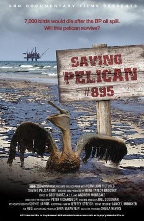 Hoy es el Día Mundial de las #AvesMigratorias🐦‍⬛ Citamos el #documental 'Salvando al pelícano número 895' (Brodsky, 2011). Narra los esfuerzos para salvar la vida del pelícano nº895, que sobrevivió al vertido de petróleo de 2010 en el Golfo de México. #WorldMigratoryBirdDay