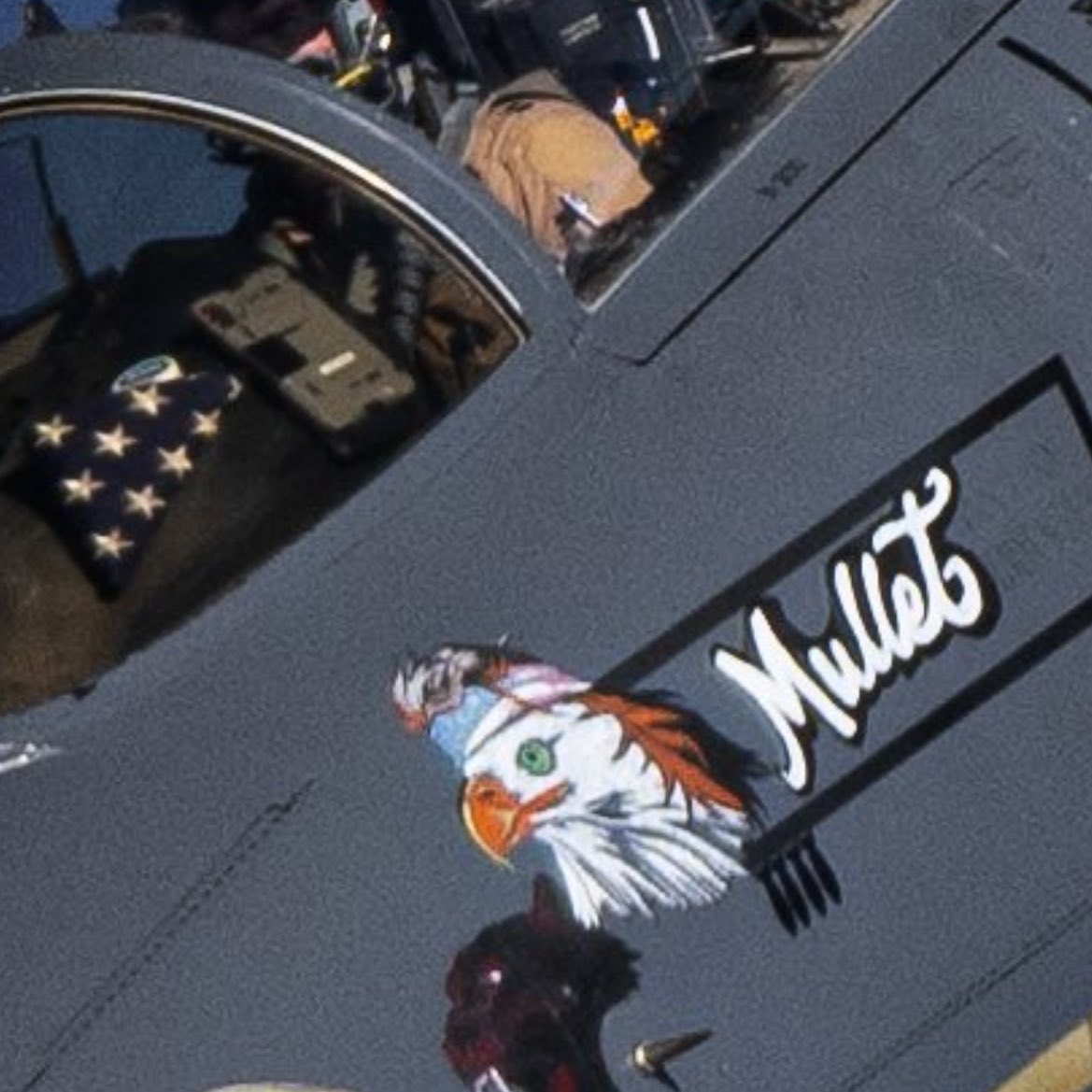 guys the pilot with zyn on the dash is callsign “mullet” and his f-15 Strike Eagle has an eagle with a mullet painted on it