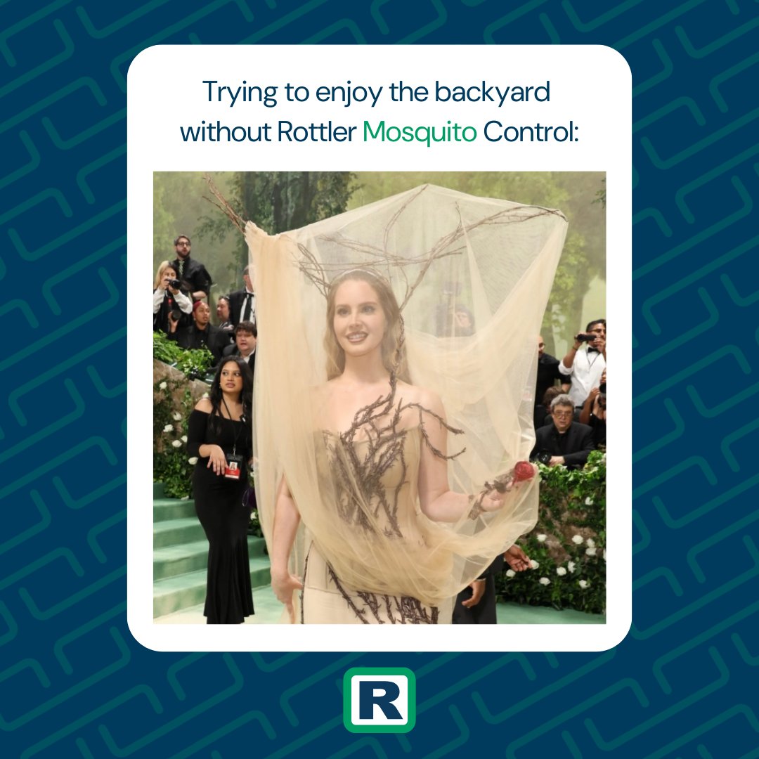 No need to recreate Lana's Met Gala look to minimize mosquito bites in your backyard this summer! 🦟  Contact us today to learn more about our proven mosquito solutions at (877) 768-8537. 

#RottlerPestSolutions #MetGala