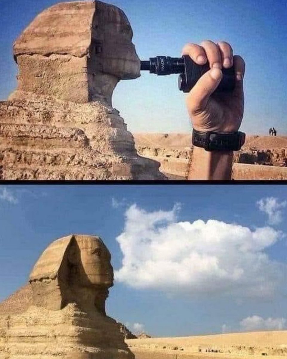 No one :

Crypto mfs average breakfast