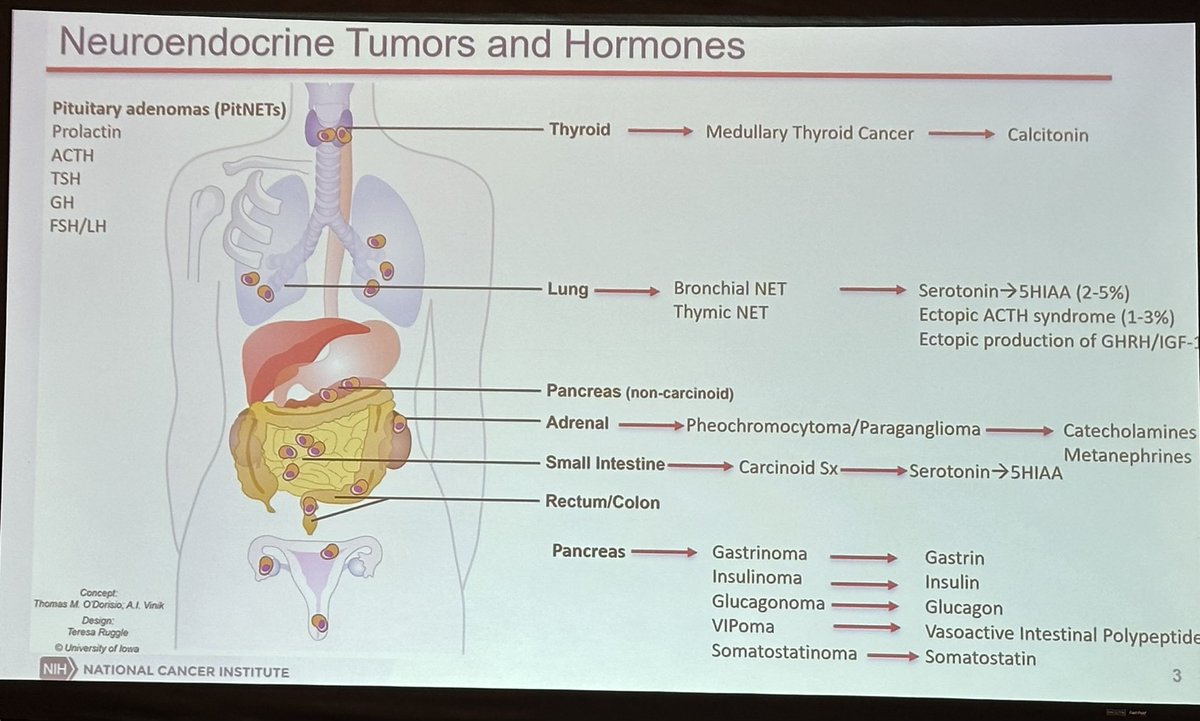 Thanks to Dr. @JaydiDelRivero for including #pheo #para in her #NETs discussions. Her expertise and commitment to her patients make her the perfect clinician/scientist to give this masterclass! 🙌♥️