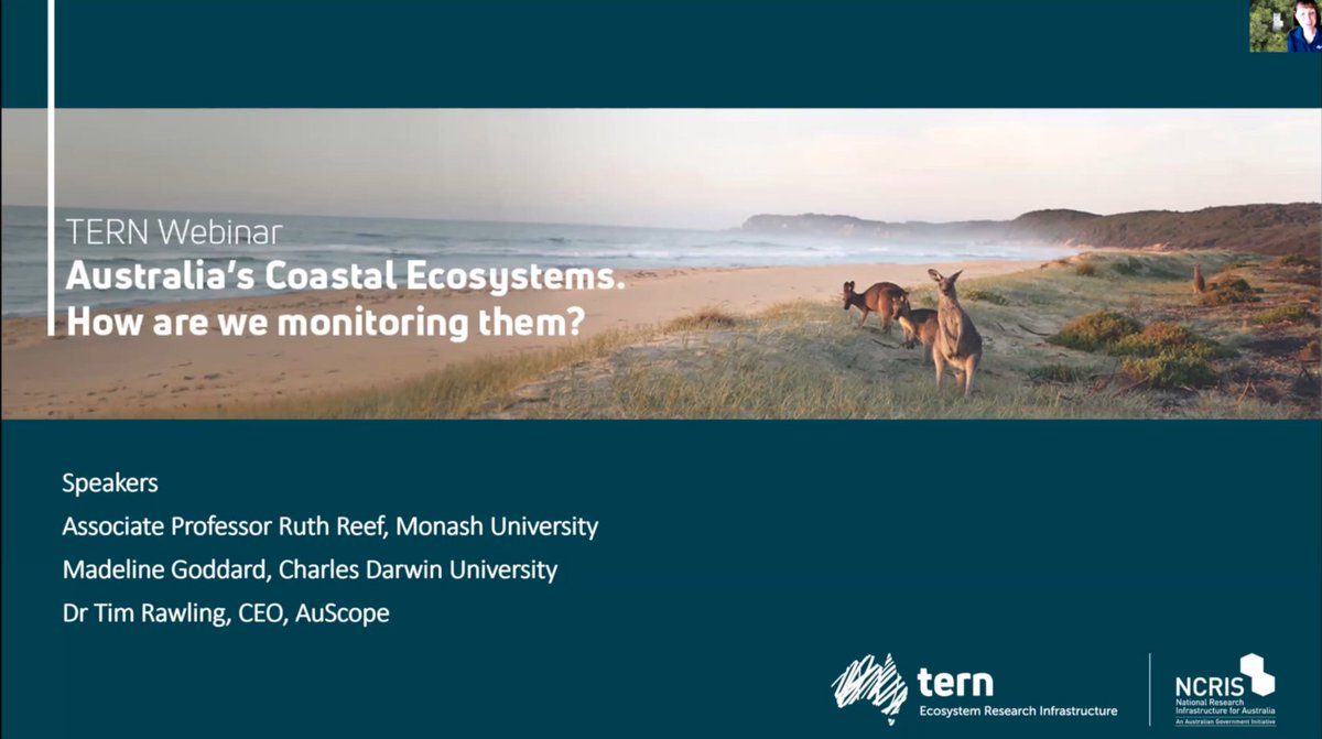 📹 If you missed our May #webinar on 'Australia's Coastal ecosystems: How are we monitoring them?', the recording is now available to watch and share on our website! 🔗 tern.org.au/webinars