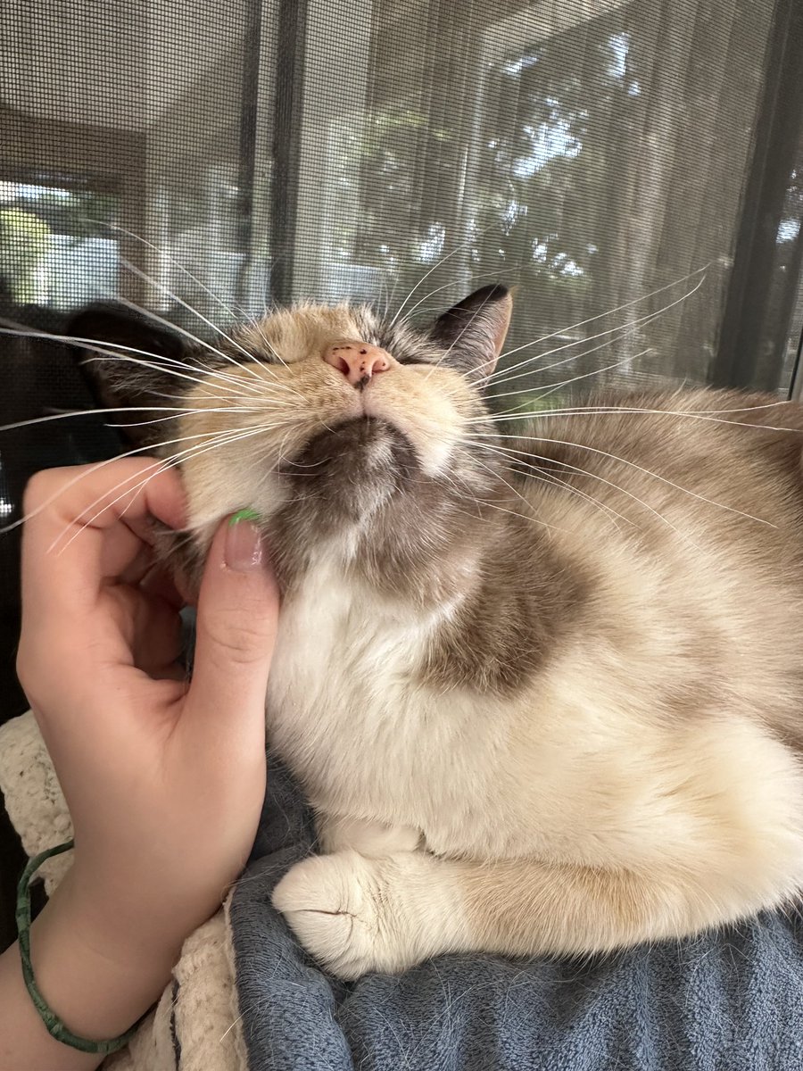 pretty girl loves scratches 🥹💓