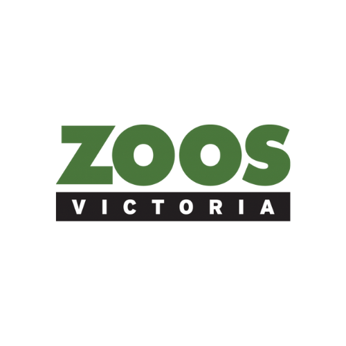 Job Opportunity Wildlife Welfare Program Veterinarian at Zoos Victoria - Melbourne, VIC, Australia #VeterinaryCareers #LoveYourVeterinaryCareer #ZoosVictoria #Veterinarian #Wildlife #Welfare #WildlifeConservation #AnimalWelfare #Vet #Veterinary veterinarycareers.com.au/Jobs/wildlife-…