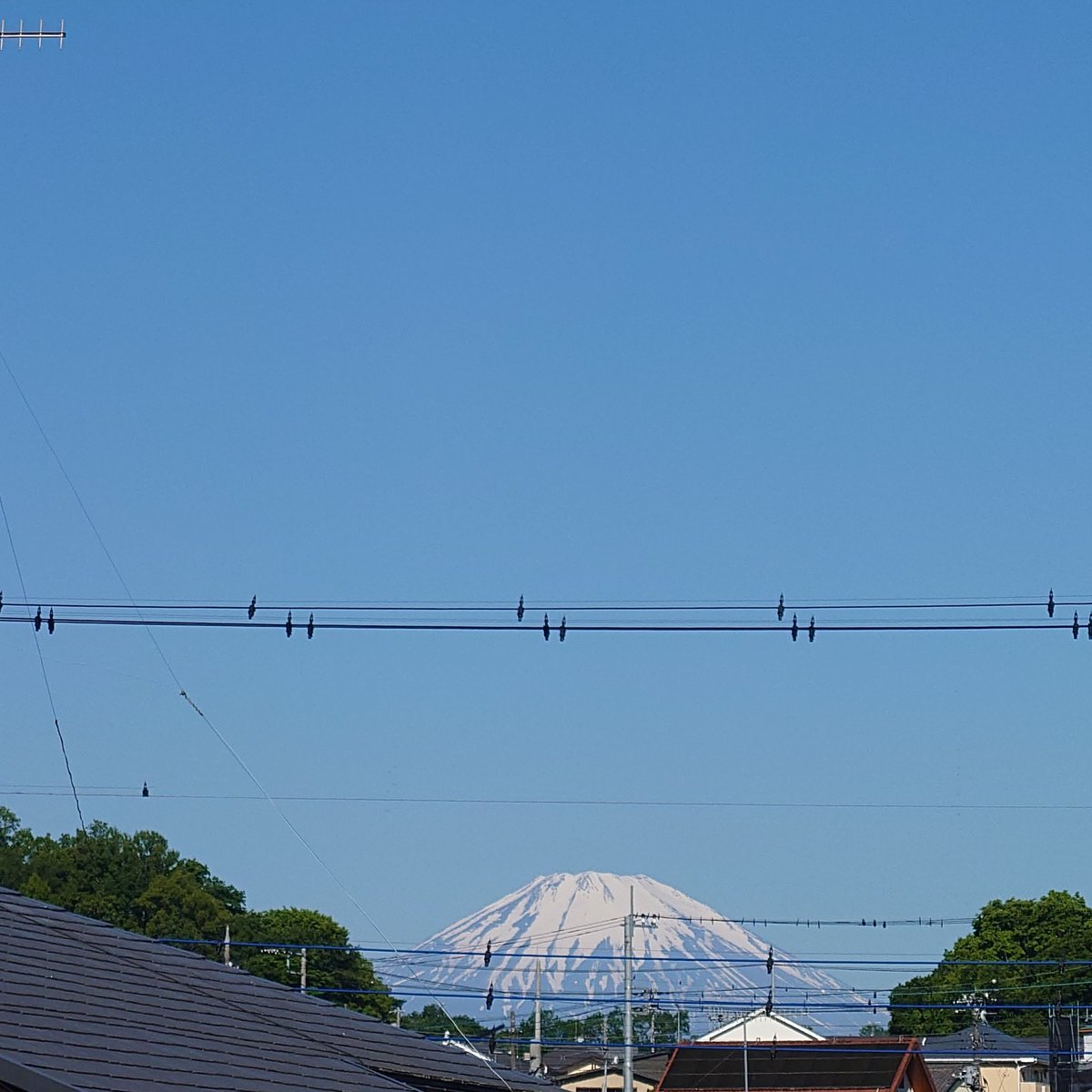 #今朝の富士山
まさに洗濯日和な朝です
#スマ写真部 
#we_love_SMAP_forever