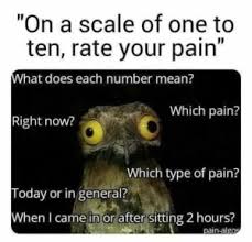 Navigating life like... 🤔 How would you rate your pain? Today or in general? Right now? Drop your emoji rating below! 😂🤕 #LifePains #EverydayStruggle #painrelief #physicaltherapy #bobandbrad