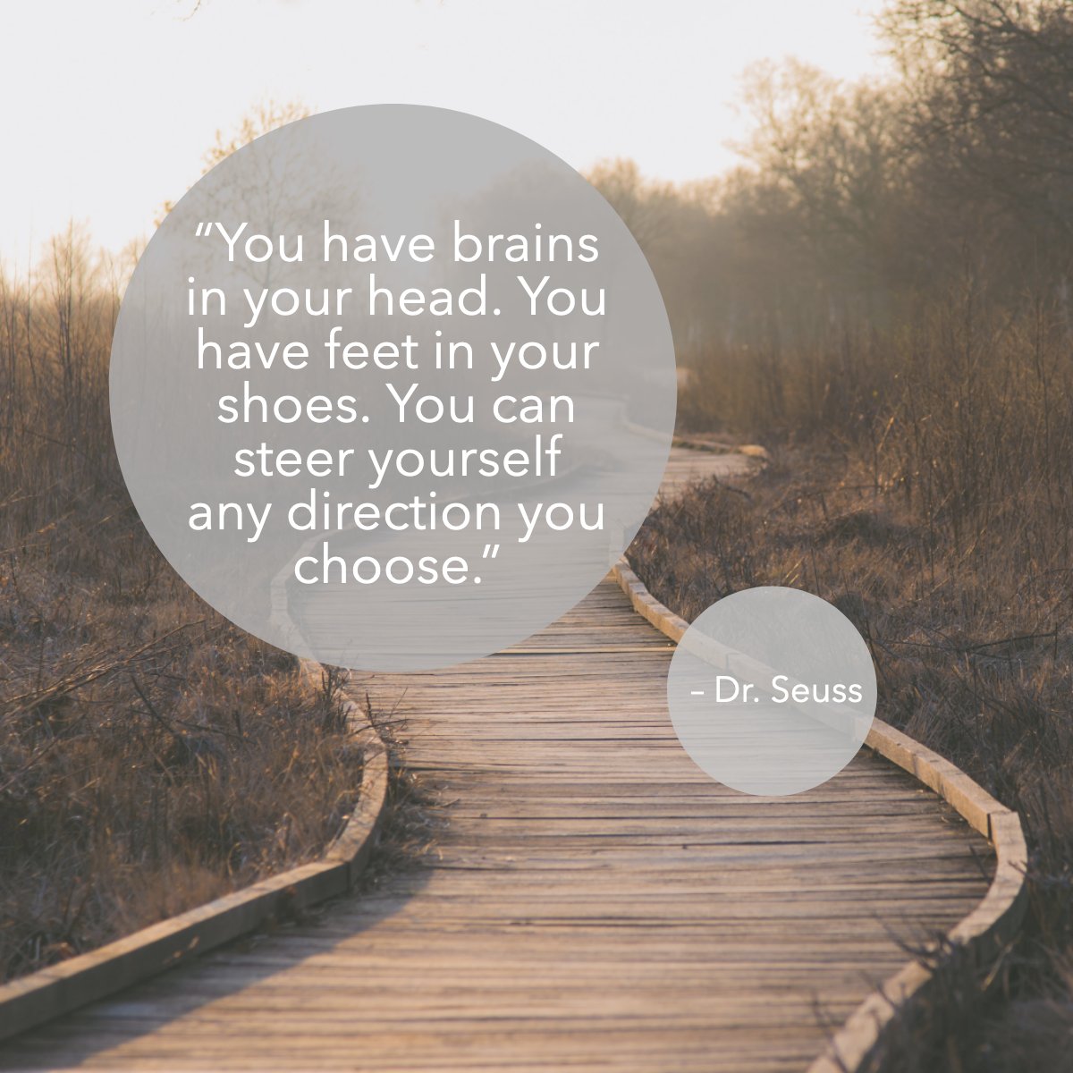 '...You can steer yourself in any direction you choose.'
—Dr. Seuss

#Drseuss #Path #Inspirational #Inspiring #Quote
#Walkaway