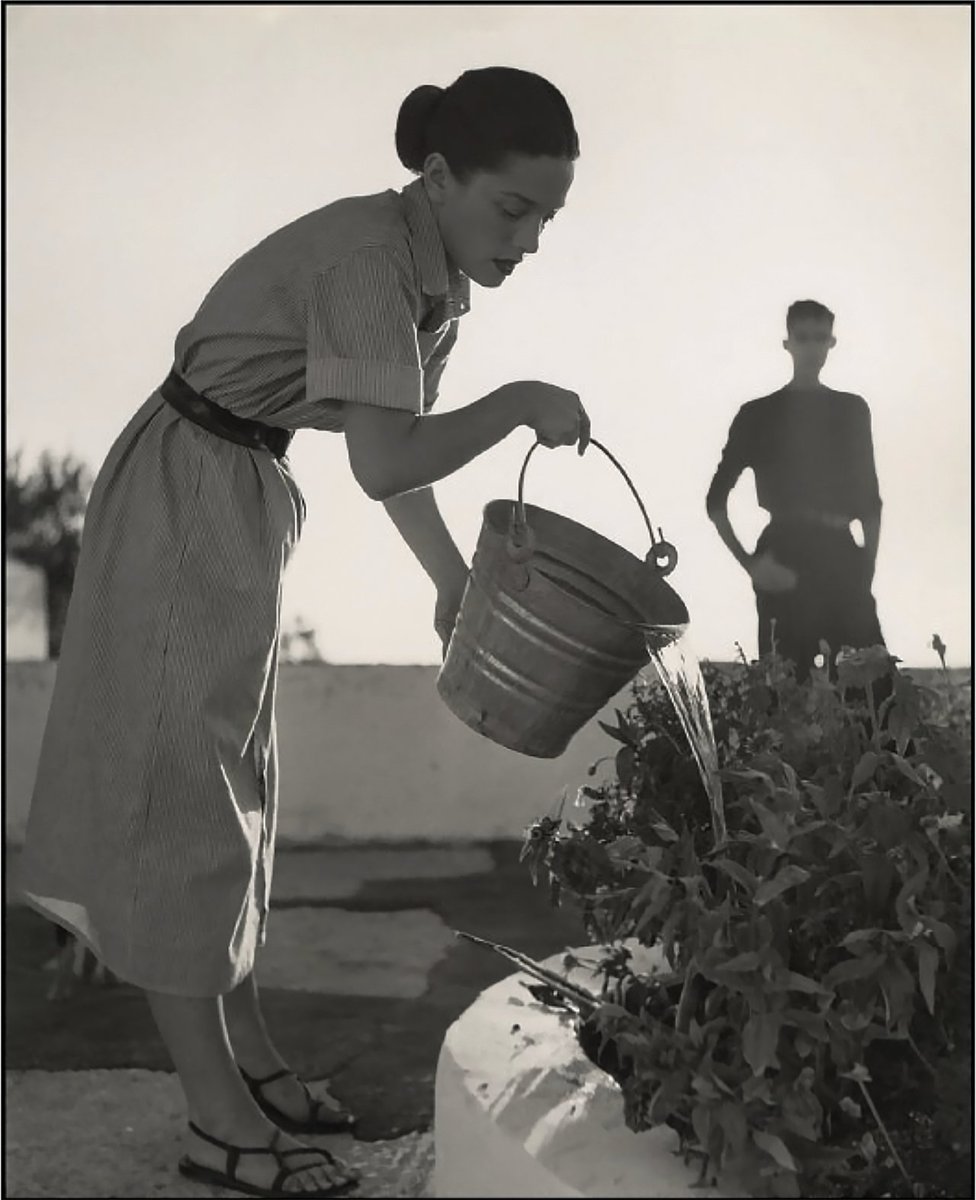 The wife of the American painter Carlyle Brown, Margery Brown, waters the plants as he looks on. Villa Punta Caruso, Forio d'Ischia, Ischia, Italy 1953 Herbert List