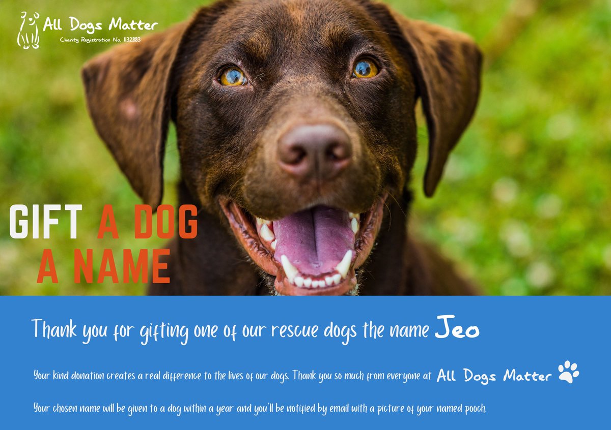 Day 58 of 100! We have just named our 58th rescue dog “JEO”. After #Crypto #Meme @boden4pres 42 More Rescue Dogs to Go! 🐶 #Charity @AllDogsMatter @boden4pres #100dogmission #ForAda #TolysDog $ADA #MemeCoinSeason #meme #memecoin #Defi #SolanaCommunity #SolanaMobie #BODEN $BODEN