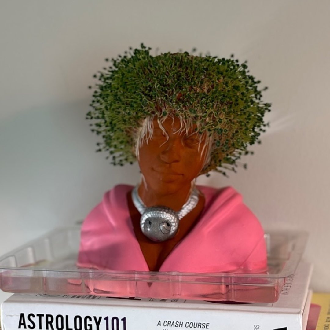 ChiaPetOfficial's tweet image. Chia baddie! ✨ Swipe to see the final results of this @icespicee_ Chia Pet! 🌱 amazon.com/Chia-Spice-See…

🎥 @fayeplants (IG)

#chiapet #chiapets #icespice #icespicechiapet #plantmom #plantdad #plantgoals #icespicemunch #munchkins #icespicefans #icespiceee