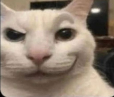 jahatrandow's tweet photo. EN STREAM RANKEDS https://t.co/QsJ9wEejD8 https://t.co/Vxm20NzVqX