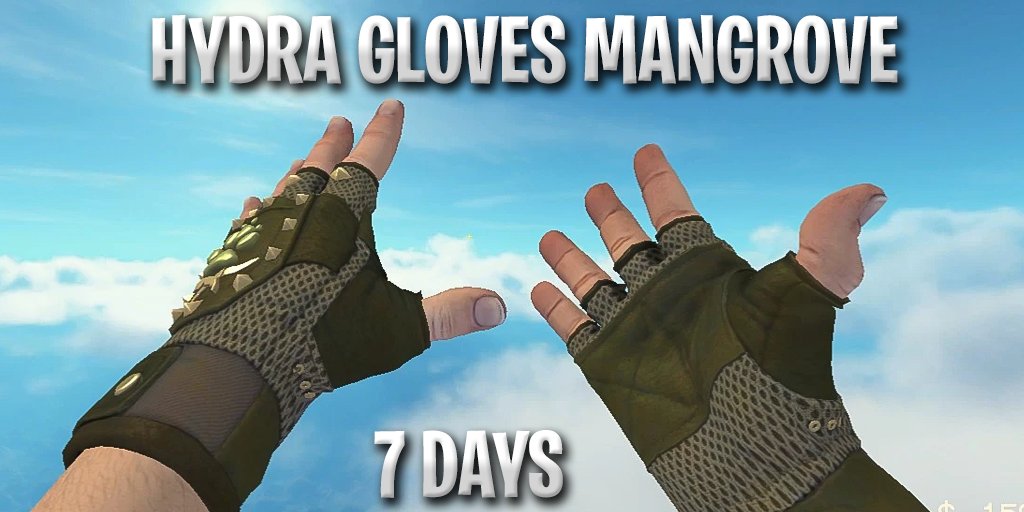 💰HYDRA MANGROVE GLOVES GIVEAWAY💰

✅RT + Follow @realcsgomercy  
✅Like + subscribe youtu.be/U5MQ8Q9lP_o  (Proof)

⏳Rolling in 7 days on @Csgomercyga
#csgo #csgogiveaway #giveaway