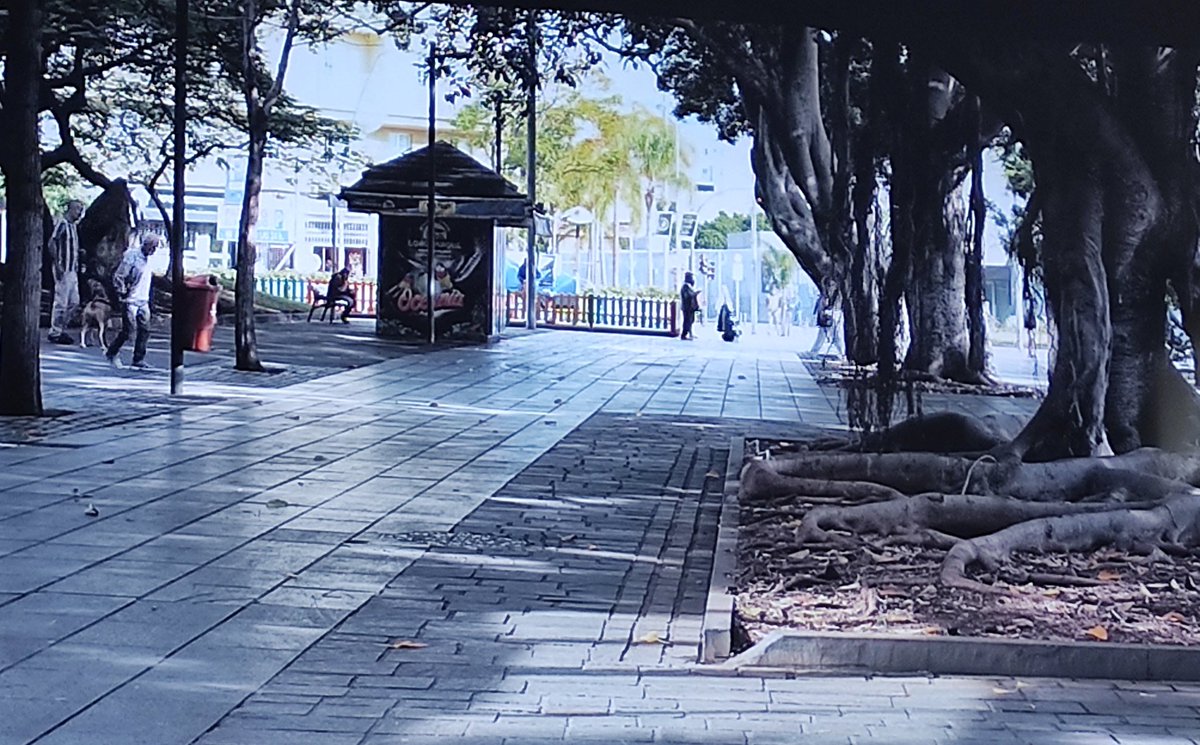 Proyectando Hola ¿Cómo estás? De Eli Herrera y Manuel Román (España) <a href="/manolitoroman/">Manuel Román Sierra</a> @Digital104 <a href="/FInquietarte/">FundaciónInquietarte</a> <a href="/unedpontevedra/">UNED Pontevedra</a> <a href="/YolandaCruzL/">Yolanda Cruz López</a>