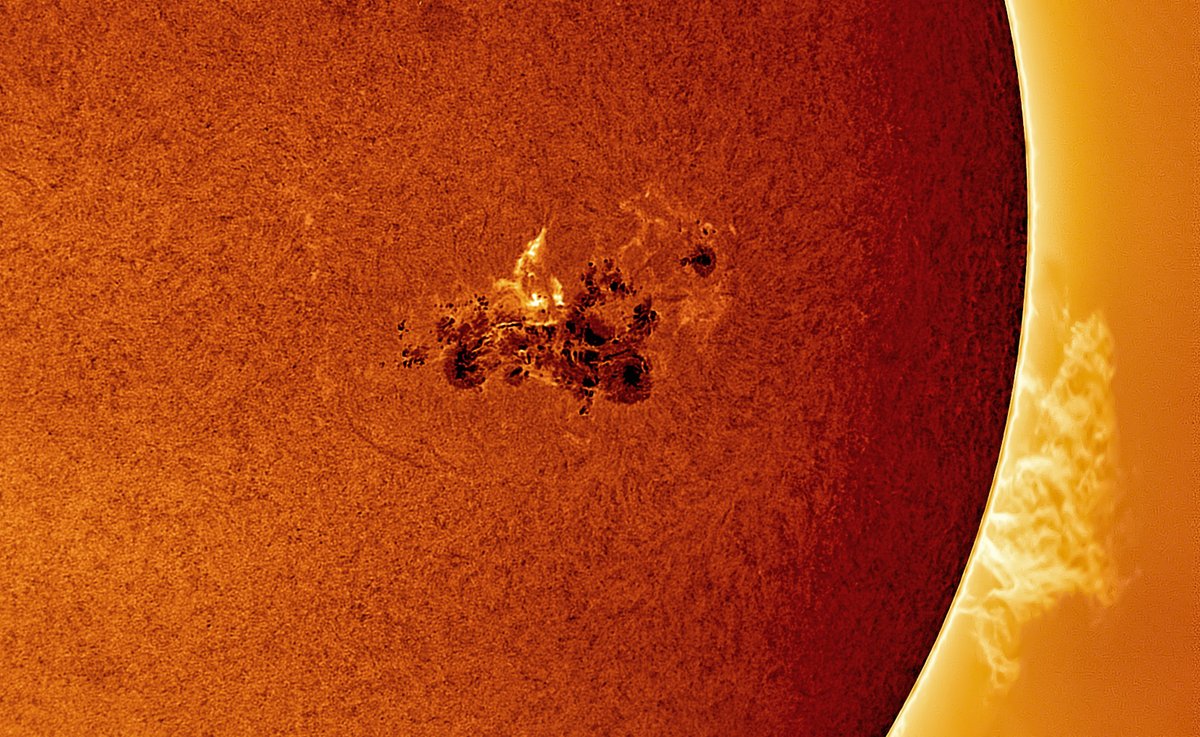 Thursday's Sun. Full disc in white light and close up of AR 3664 in Ha with some prominences. @MoonHourSocial #Astronomy #Astrophotography @ThePhotoHour