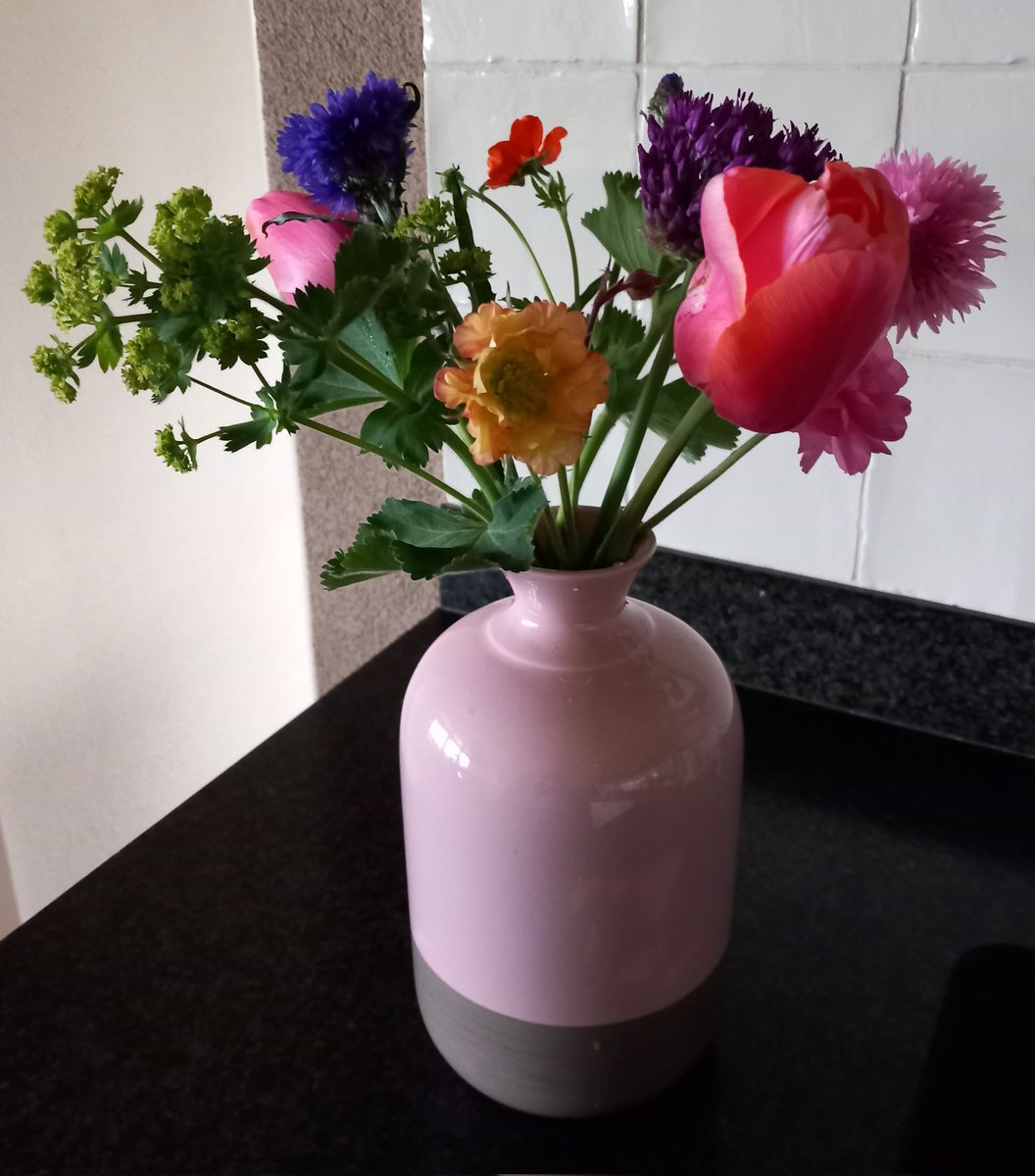 Nu de tulpentijd voorbij is, is het wachten op de zomerbloemen. Maar de eerste korenbloemen, vrouwenmantel, allium, geum, nog een paar tulpen en een ranonkeltje maken een leuk boeketje.
#bloementherapie