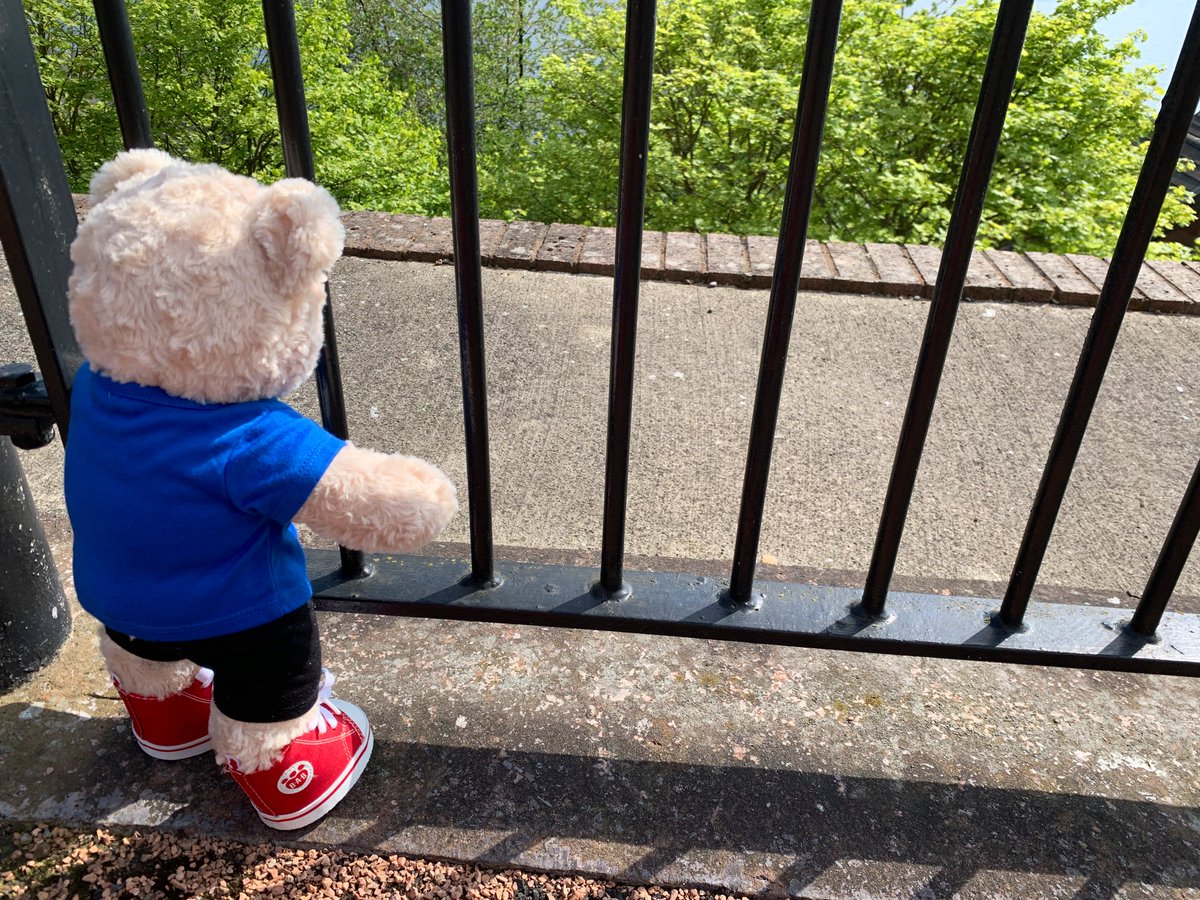 Pawtrol completed, & no zombs in sight. They’d have a long steep climb to get up here from the river, & I’ve tested every bit of the railings they would have to get through or over. Perimeter secure - RaaaAaaa!! 🫡 #ZSHQ