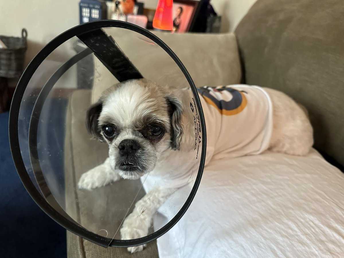 Emma had a non-cancerous tumor taken off her Eyelid today. She is back home, drowsy but good. She has to wear the 'cone of shame' off and on for a couple weeks. So she is frustrated, so keep her in your prayers people! But its not that serious thats the good thing. They are…