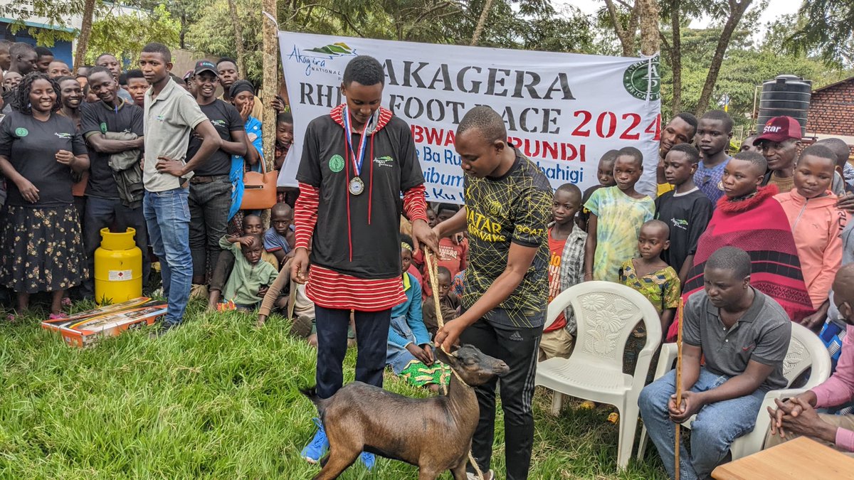 Akagera 's community liaison team has organised an annual rhino footrace within the neighbouring community to celebrate the successful reintroduction of rhinos and involve locals in wildlife conservation efforts since 2018. #Akagera #Rwanda @AfricanParks